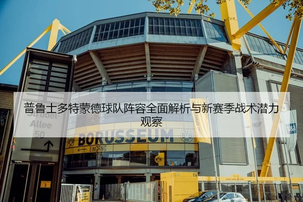 普鲁士多特蒙德球队阵容全面解析与新赛季战术潜力观察